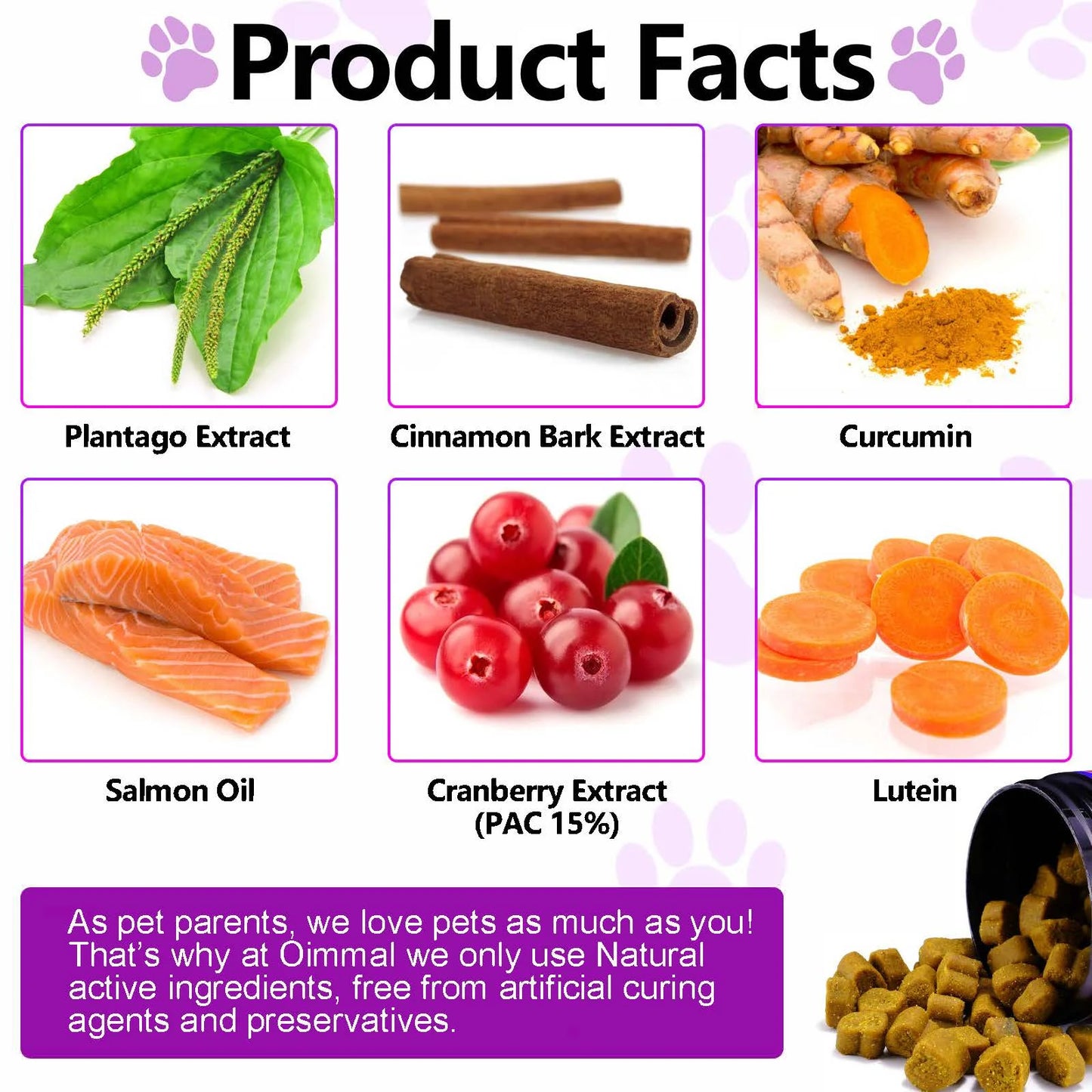 Soothe Your Dog’s Itch Fast — Postbiotic + 14 More Benefits in One Easy Chew