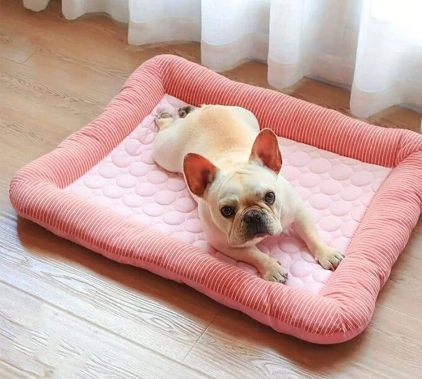 dog-sitting-on-cooling-dog-mat