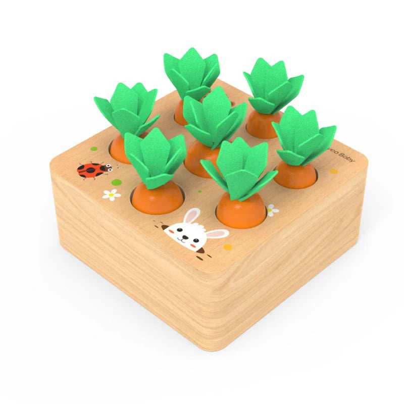 ShapeNest Montessori Wooden Shape Sorter Toy for Toddlers 12 Months+