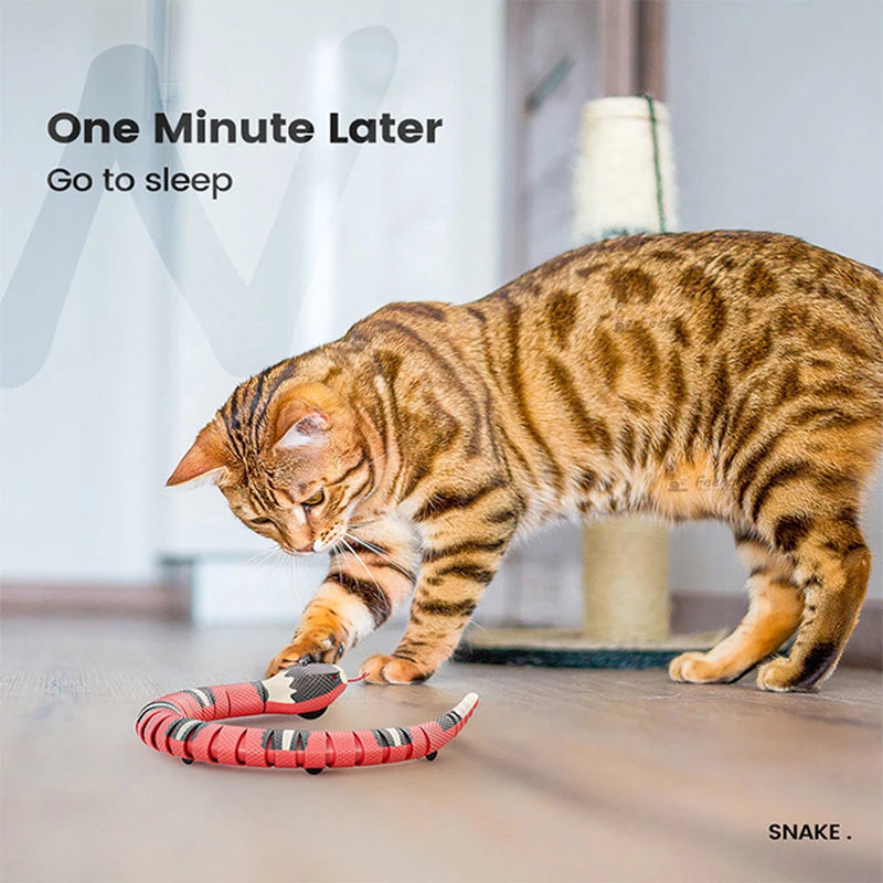 Motion sensing smart cat toy snake for boredom and anxiety relief.