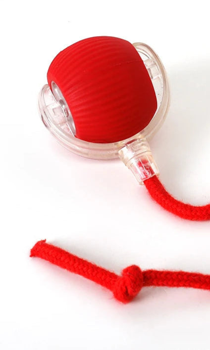 red pet interactive pet ball with tail