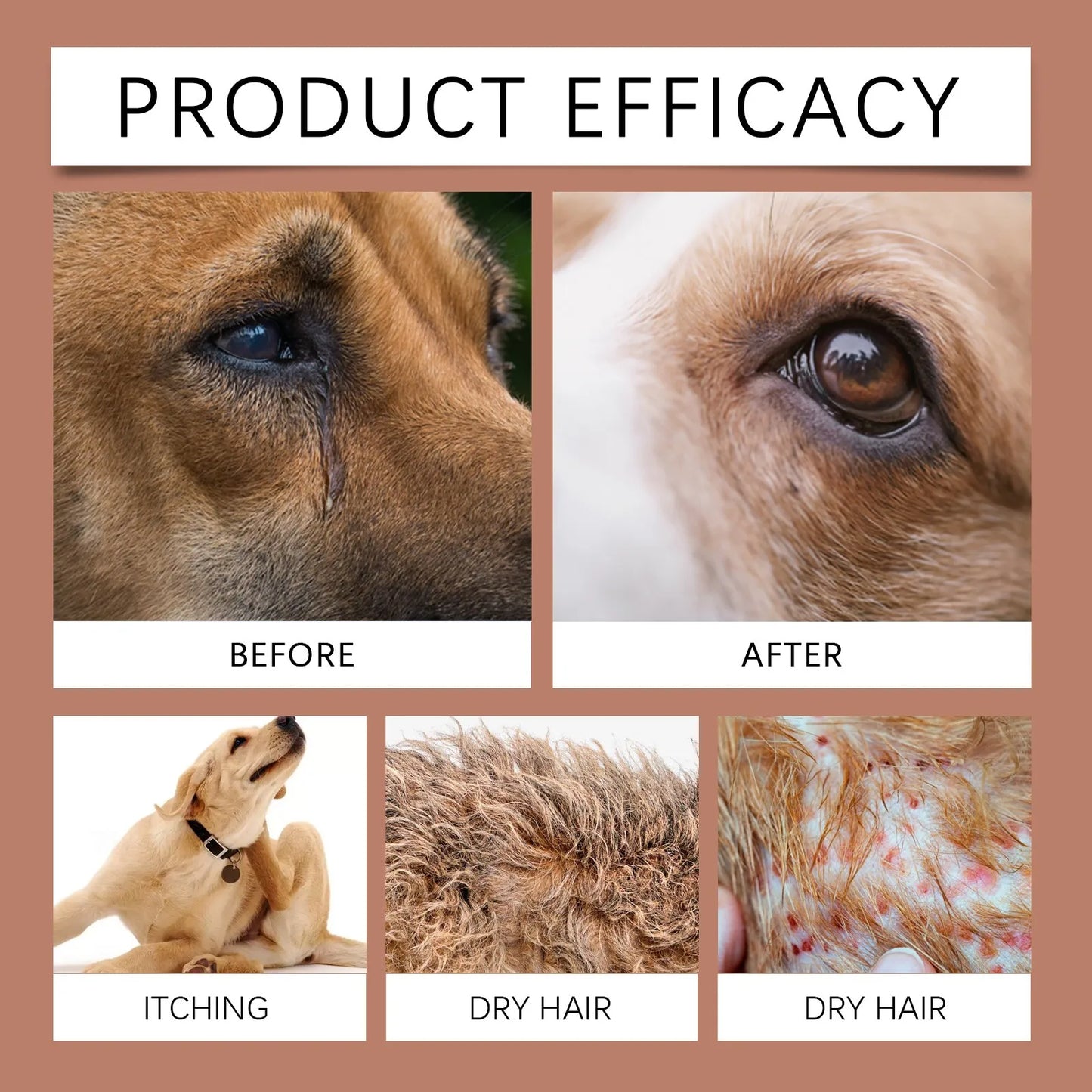 Hypoallergenic Dog Shampoo – Gentle, Tear-Free & Anxiety Relief