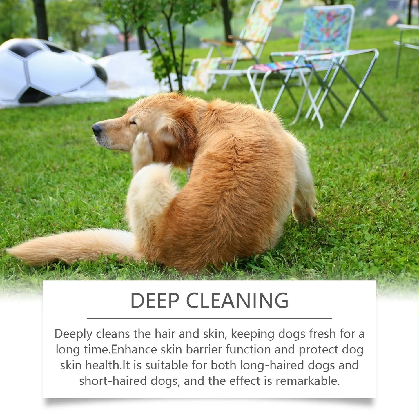 Hypoallergenic Dog Shampoo – Gentle, Tear-Free & Anxiety Relief