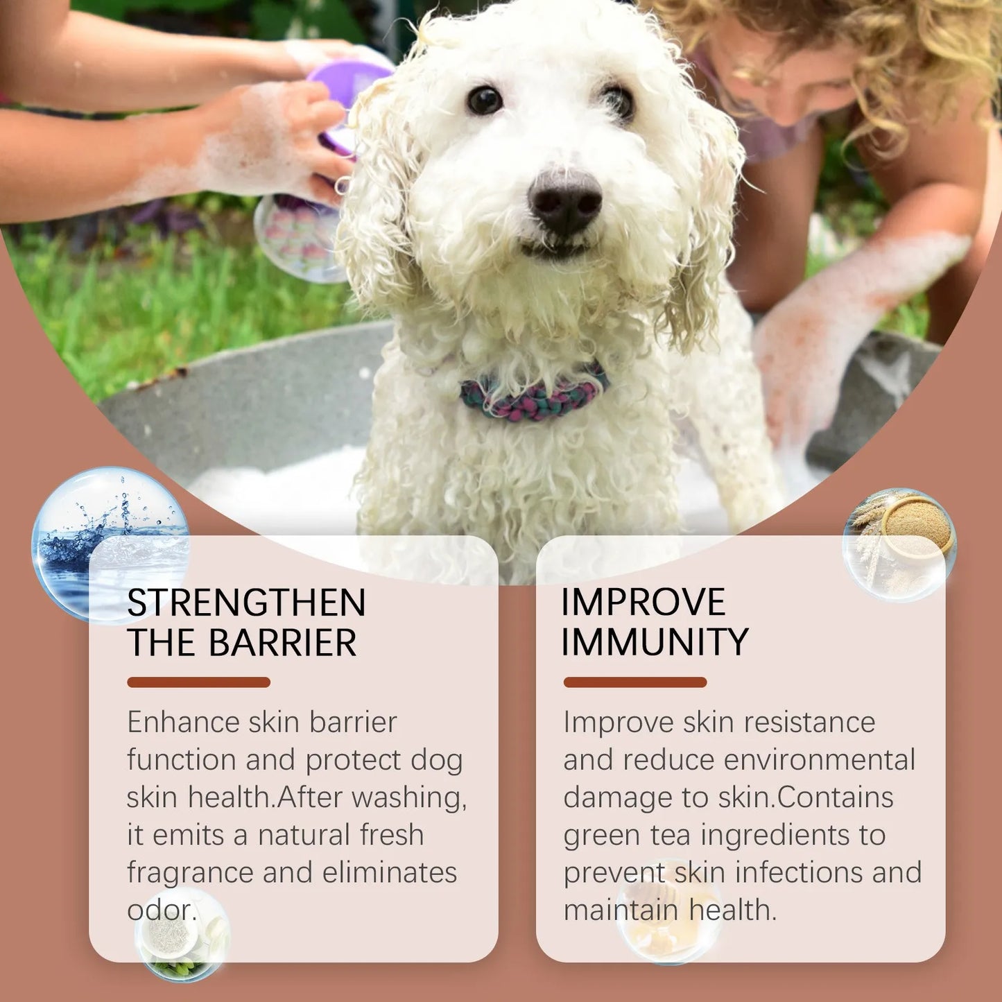 Hypoallergenic Dog Shampoo – Gentle, Tear-Free & Anxiety Relief
