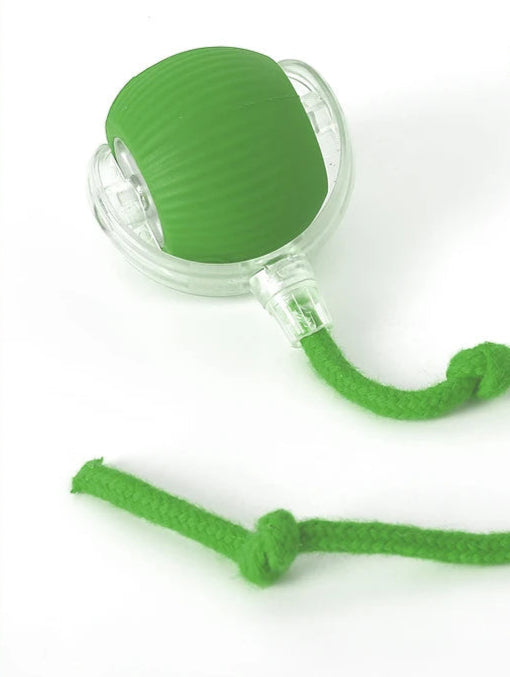 green interactive pet ball