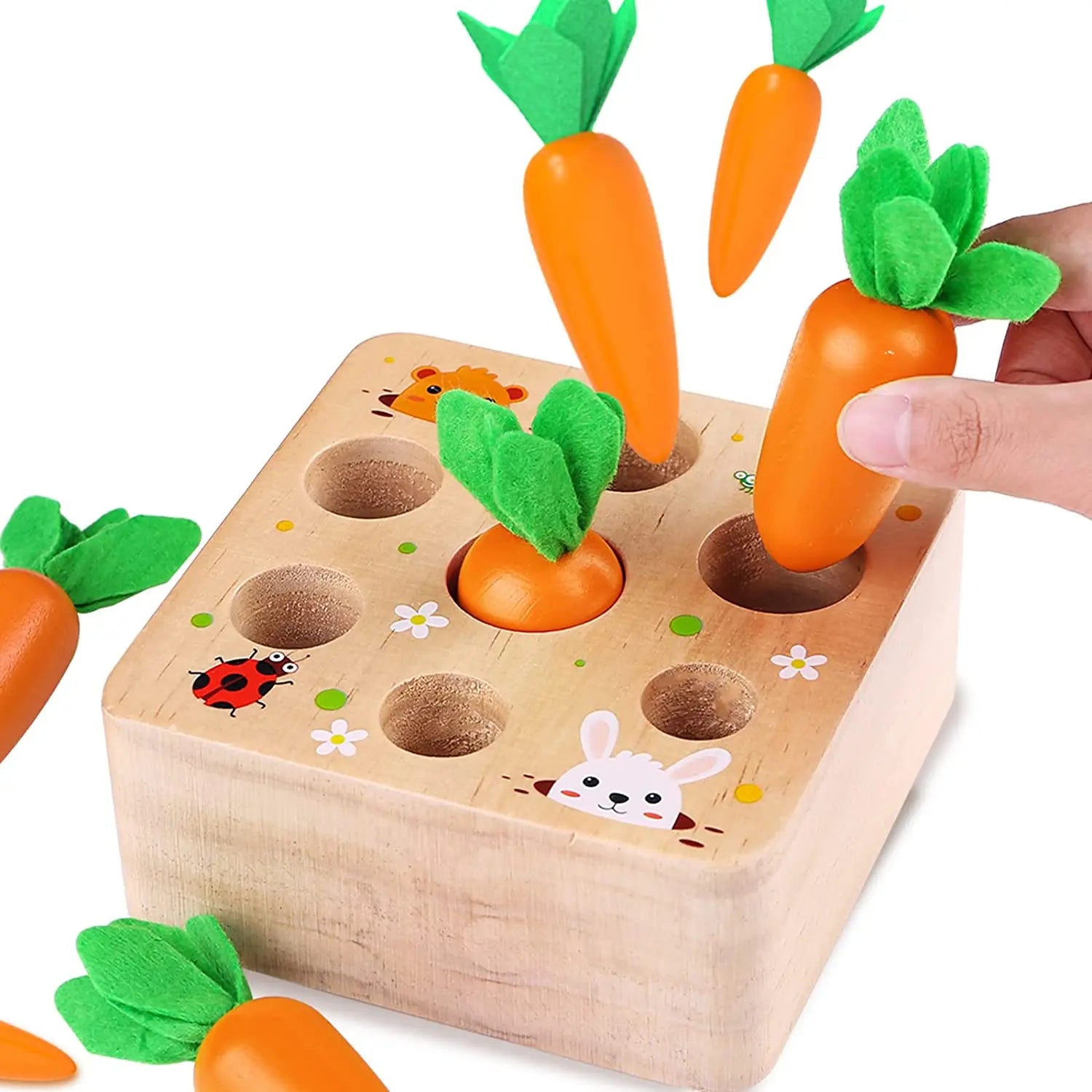 educational wooden shape sorter object permanence box