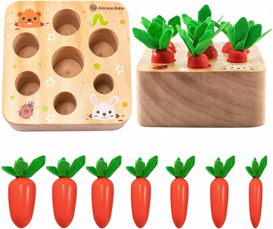 wooden shape sorter toy