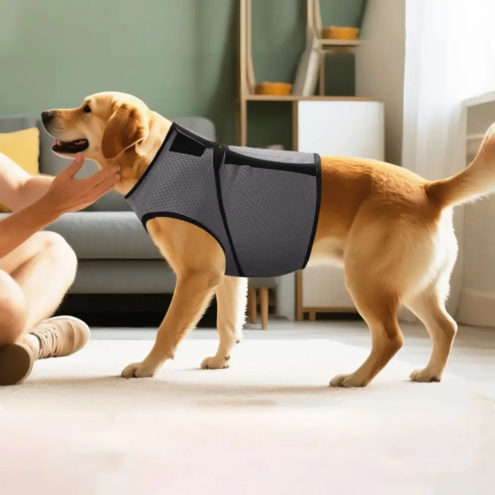 Anxiety vest for dogs and cats provides a calming thundershirt solution—ideal pressure wrap for stressed pets dealing with travel, storms, or separation anxiety.