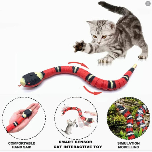 cat pouncing on automatic snake toy mid-slither on hardwood floor