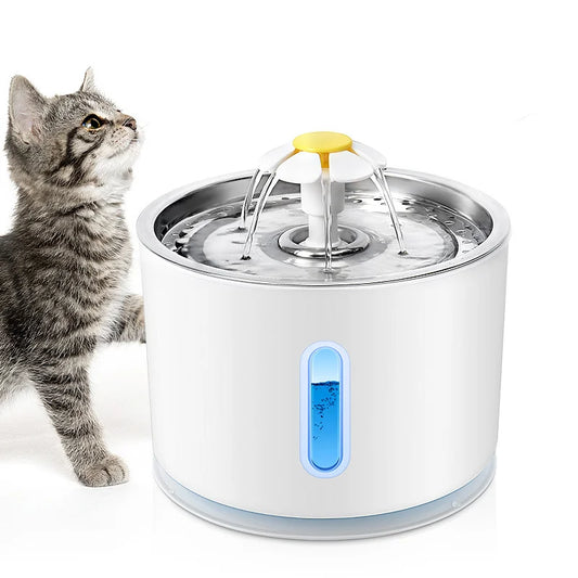 Stainless steel cat water fountain for kidney health and hydration.