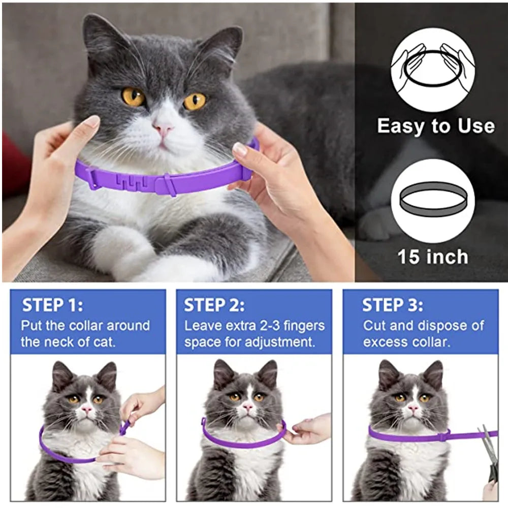 Relaxed cat wearing an adjustable calming collar