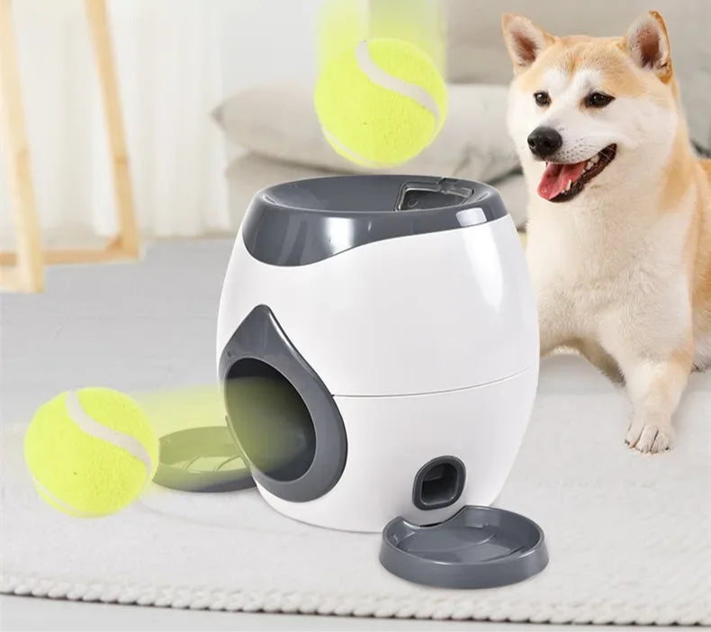 Interactive dog treat dispenser for mental stimulation and training