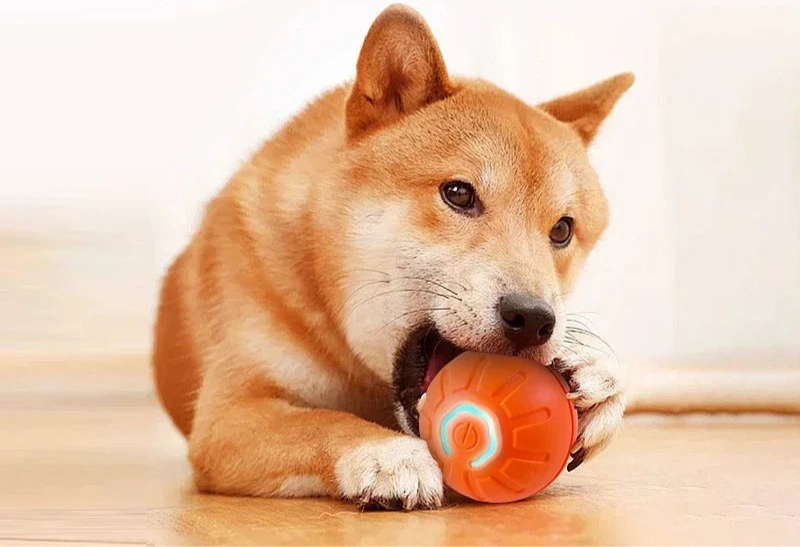 Smart interactive dog toy ball with spinning and rolling motion