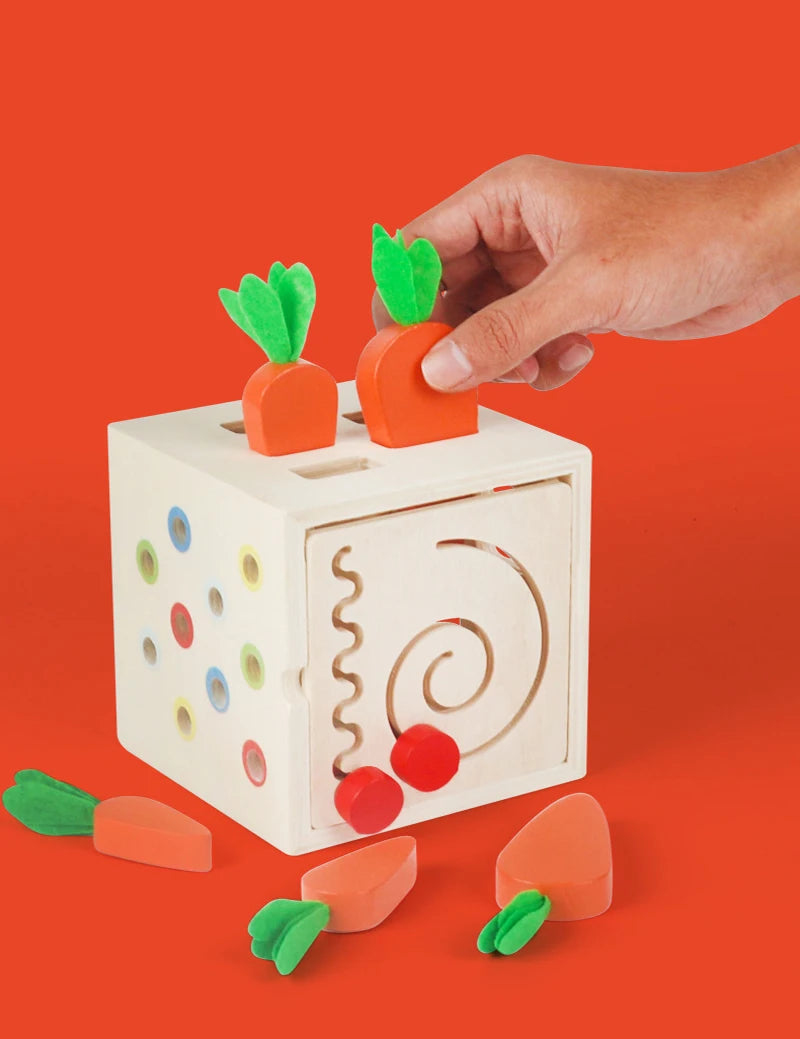 Eco-Friendly Toddler Toy for Colour, Shape, and Spatial Learning