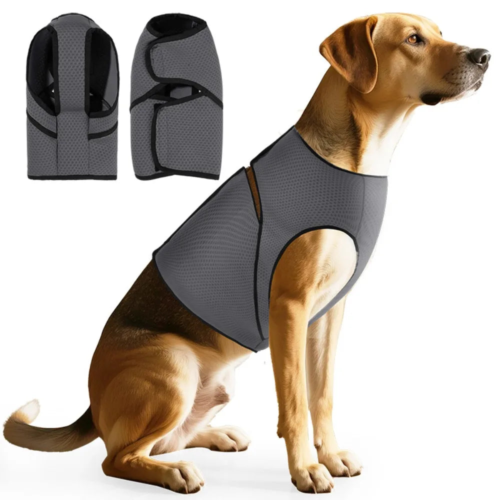 Natural stress relief vest for dogs and cats without medication