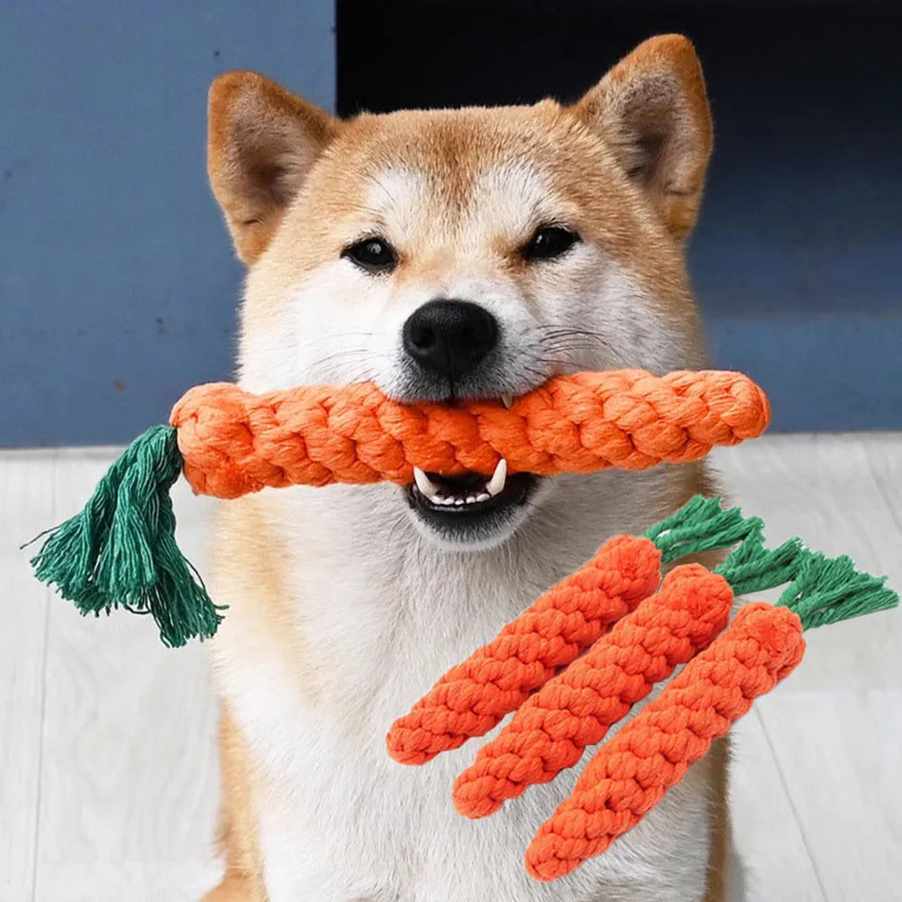 puppy happily chewing orange carrot rope toy