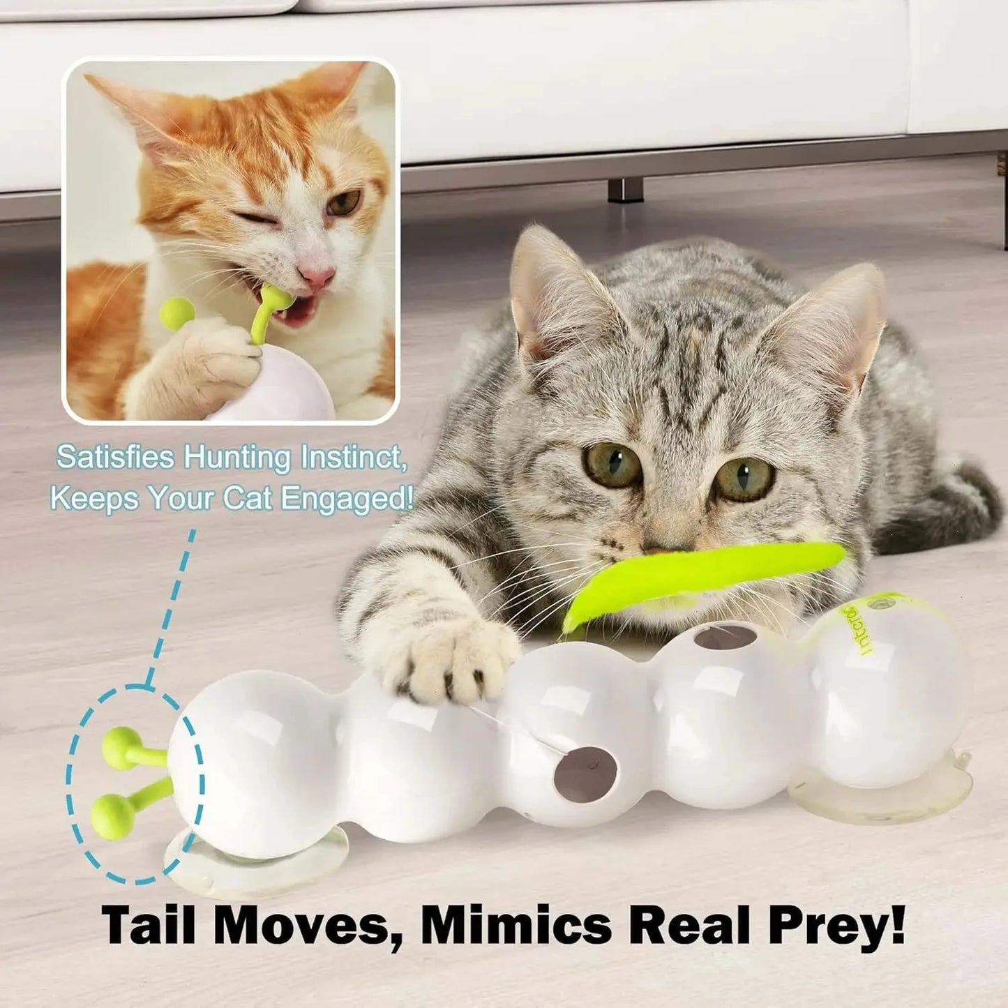 Quiet automatic toy reducing boredom and anxiety in cat