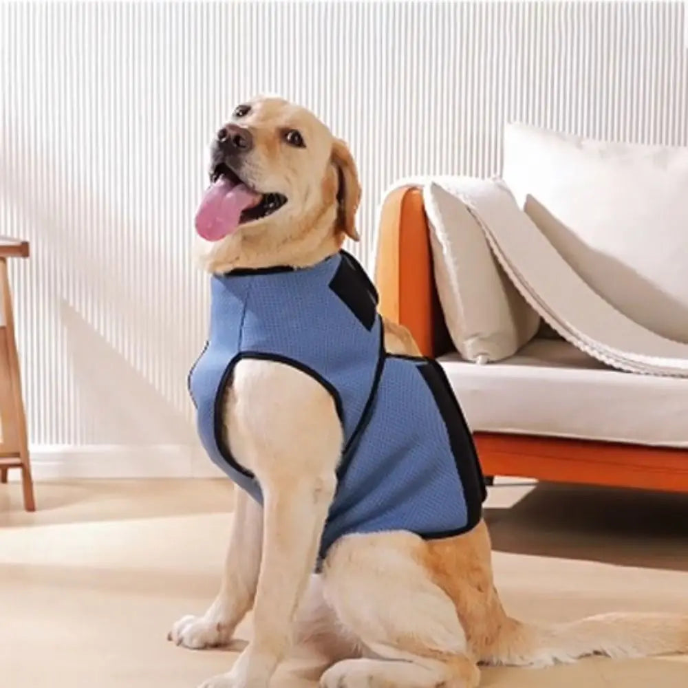 thundershirt for dogs providing natural stress relief without medication