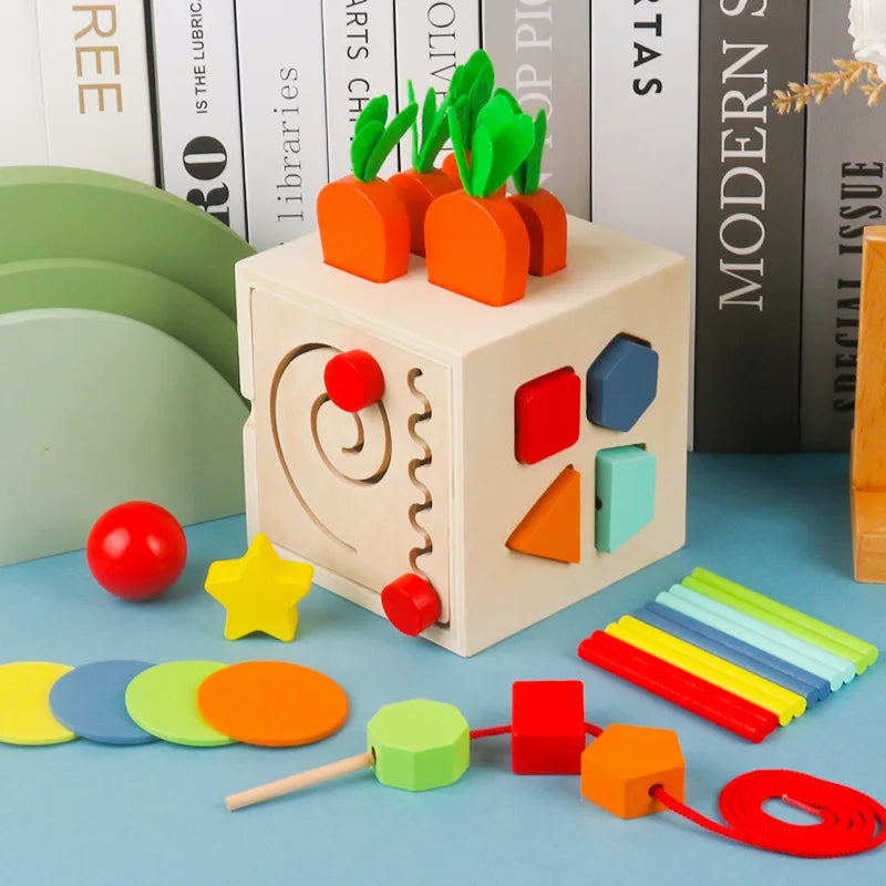 Wooden Montessori shape sorter toy with coin and carrot harvest game