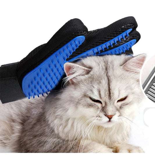 Why Your Pet Deserves Only the Best: A Heartfelt Guide for Loving Owners