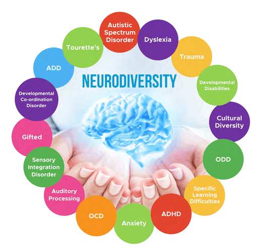 Top Toy Picks for Neurodivergent Kids: Sensory, Safe & Supportive Play