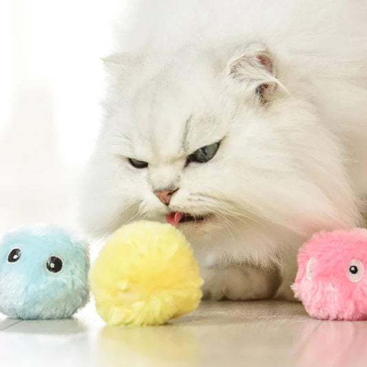 Why Interactive Pet Toys Are a Must for Every Fur Family