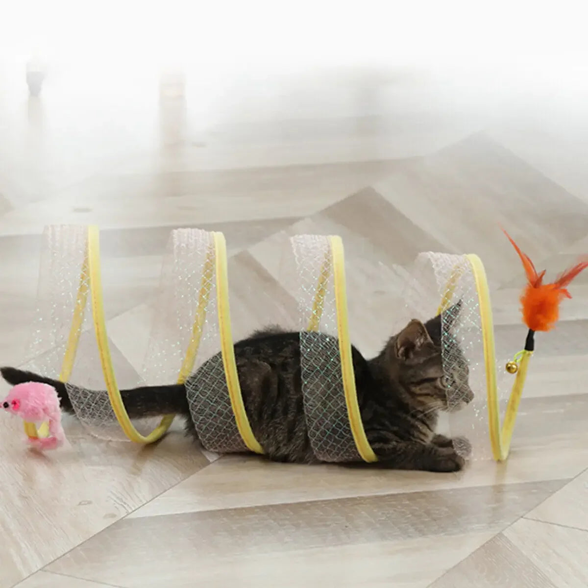 Cat crawling through collapsible mesh tunnel