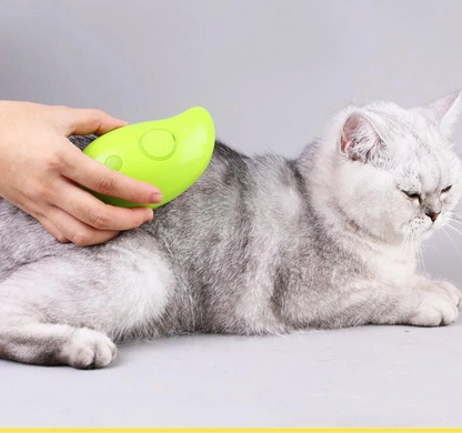 Cat enjoying electric grooming massage


