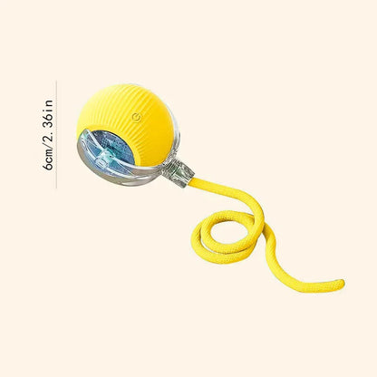Rechargeable Motion-Activated Smart Dog Ball