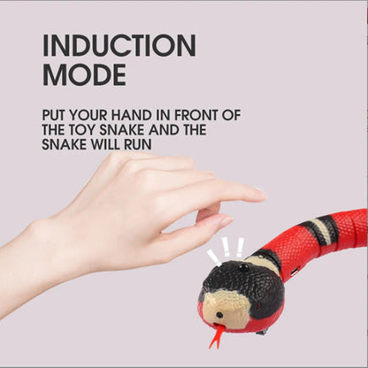 USB rechargeable snake toy for playful and active kittens.