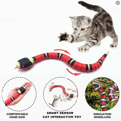 cat pouncing on automatic snake toy mid-slither on hardwood floor