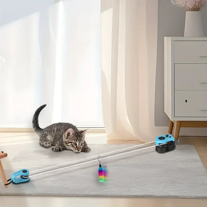 USB rechargeable interactive pet toy for fun training sessions.

