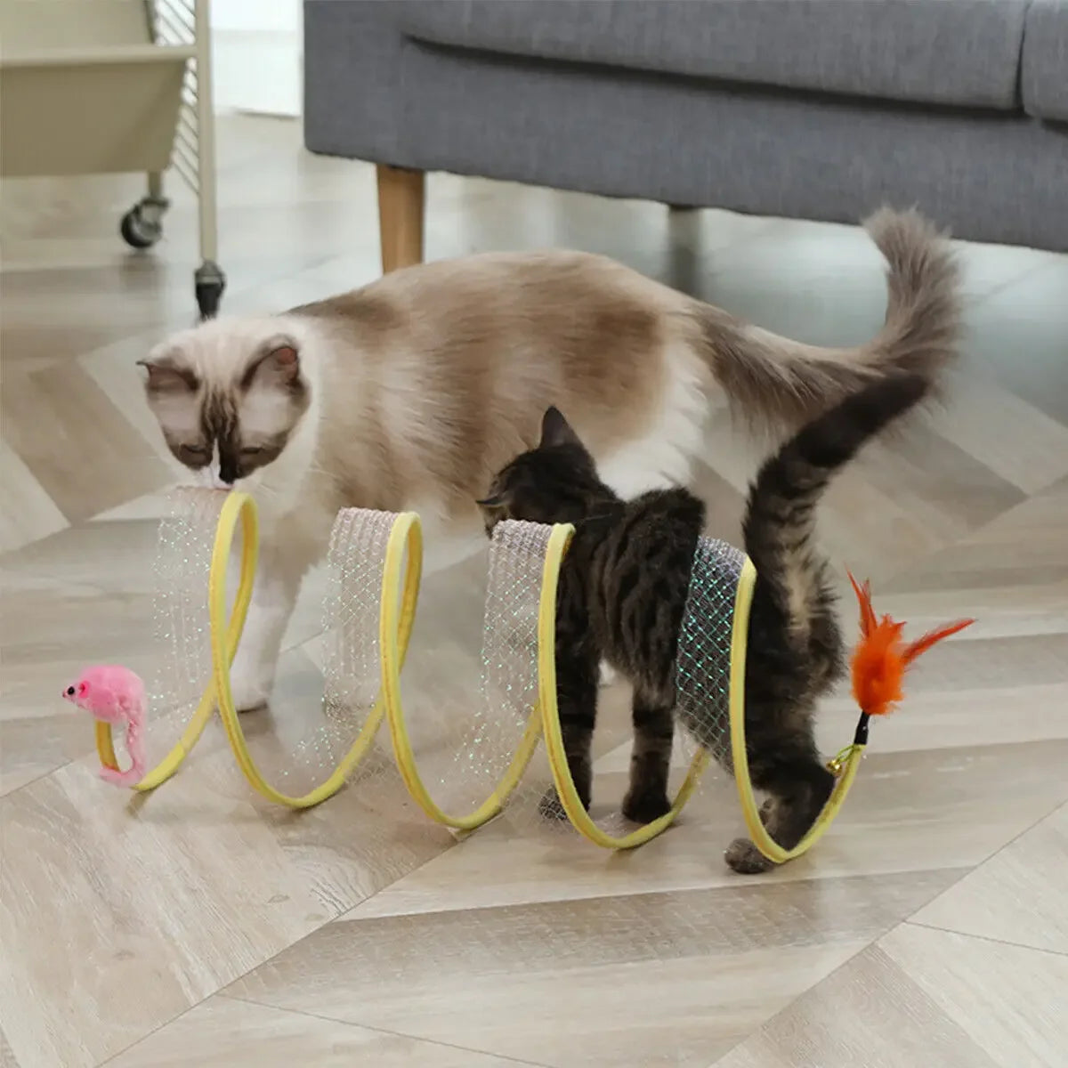 Two cats playing inside the tunnel together