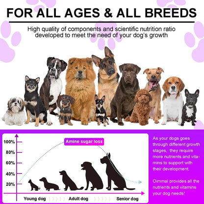  Dog digestive supplements with postbiotic effect to improve gut balance and immunity
