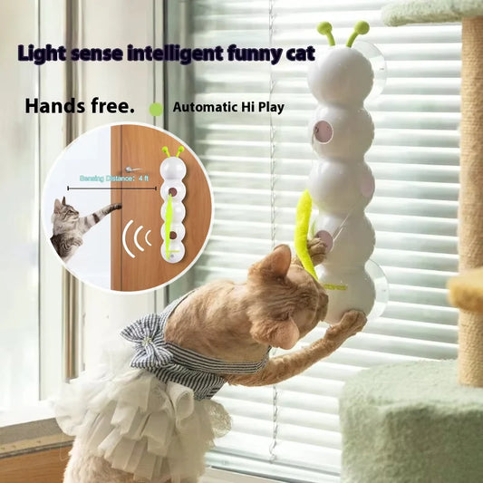 Orange kitten playing with self-moving toy in sunlight (happy cat!)