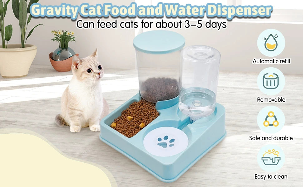 Small cat eating from automatic feeder while owner is away