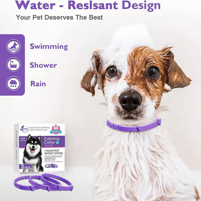 Travel anxiety calming collar for pets to reduce stress during car rides and flights